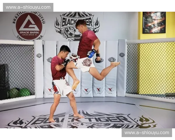 综合格斗数据赛后：用数据看懂每一次跌宕与突破